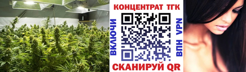 ТГК концентрат Киреевск