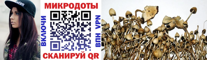 Галлюциногенные грибы мицелий  площадка официальный сайт  Киреевск 